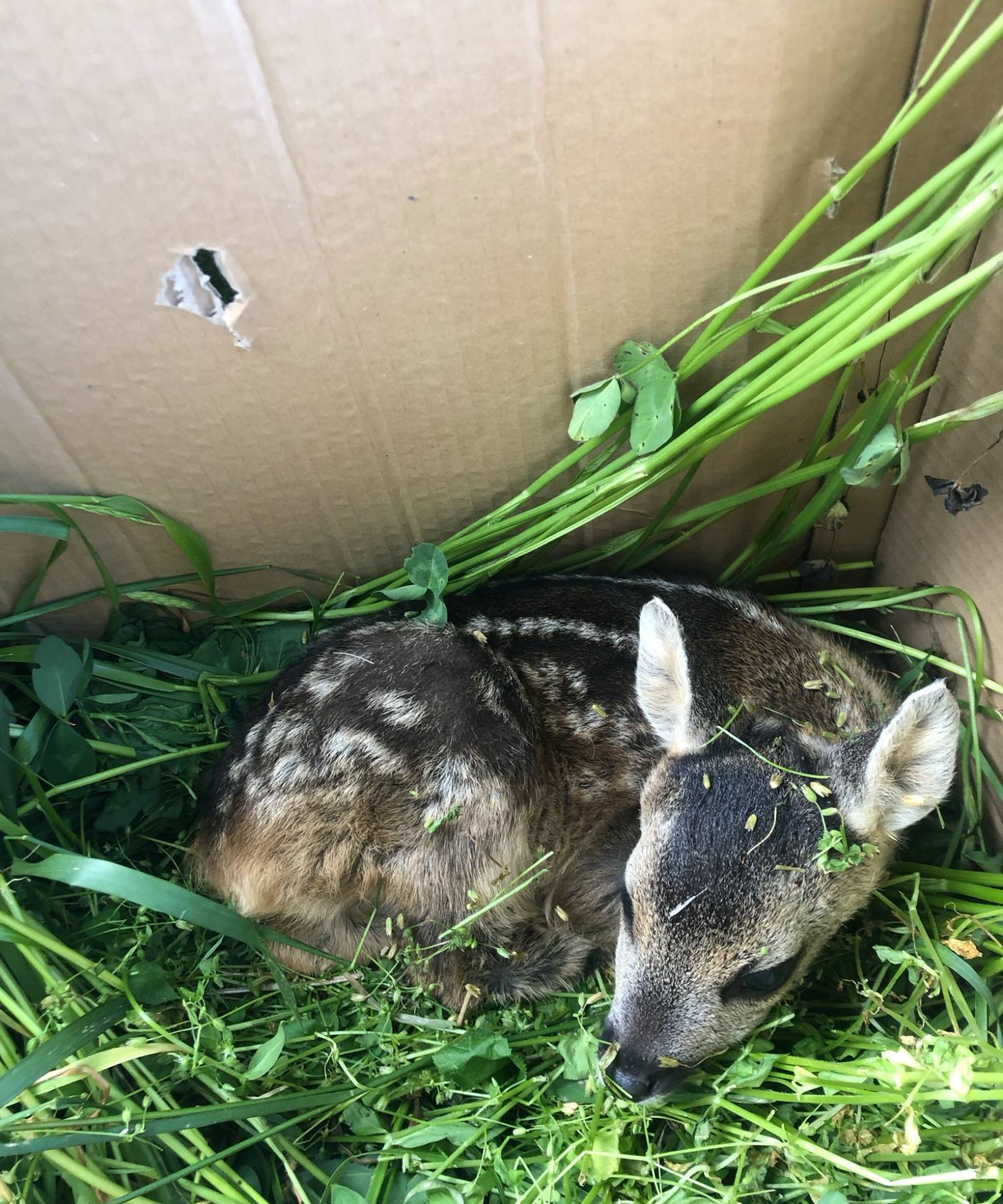 e0232393-a0c8-49a9-9aa7-e17be46e5c9b